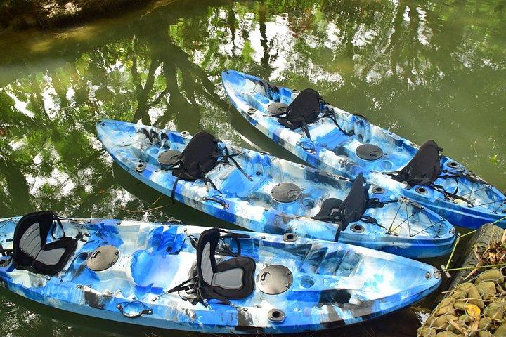 Mangrove Kayak
