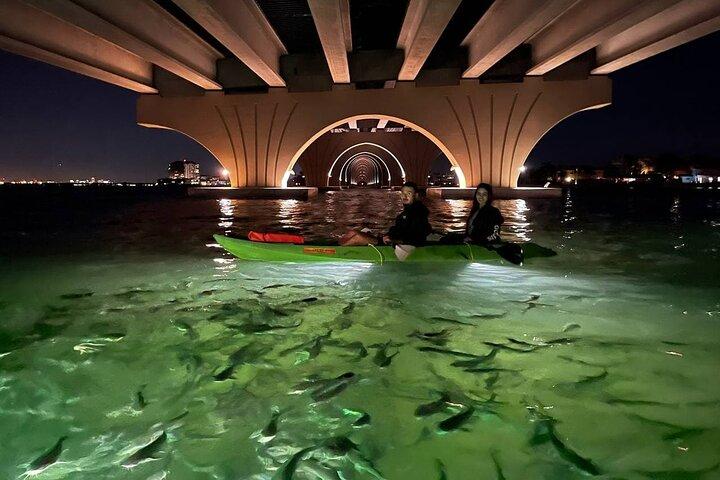 Sharkeys Vissen met glazen bodem LED-nachttour St. Pete Beach