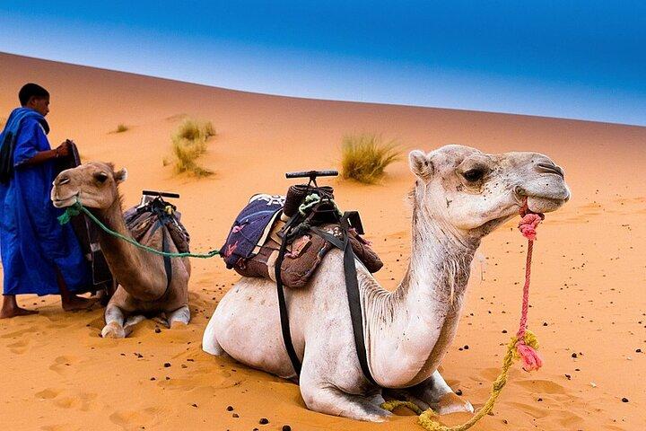 3 dages ørkentur fra Marrakech til Fes