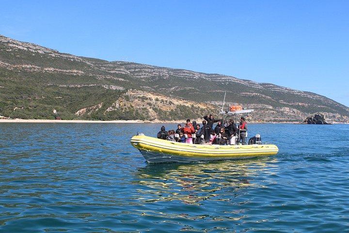Boat Tour - Arrábida Coves