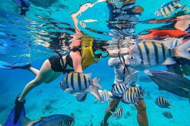 Cozumel Snorkeling Experience! El Cielo Reef da Cancun