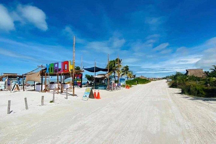 Holbox Magic Island Tour + Round Transportation From Cancun
