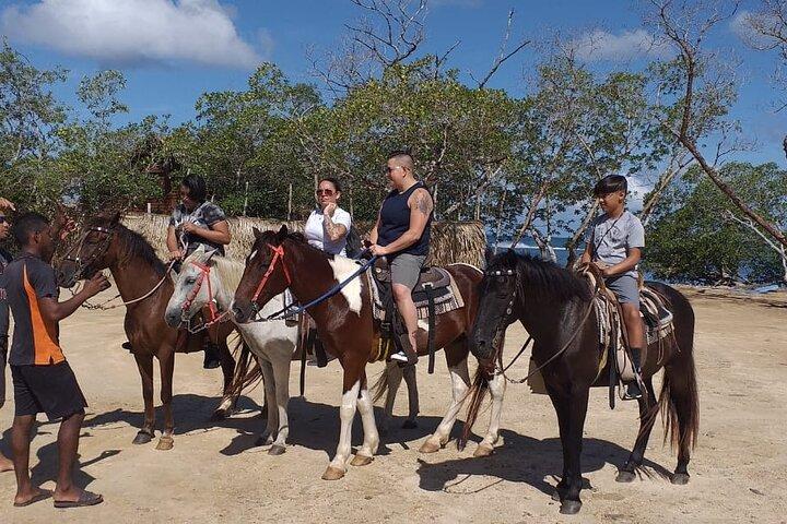 Roatan Reiten und privater Tagespass in Brady's Cay
