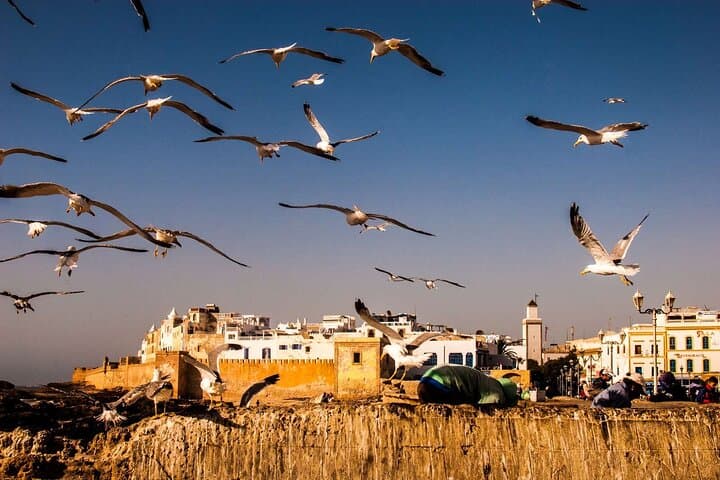 Day Trip To Essaouira and Sekkala From Marrakech in a small Group