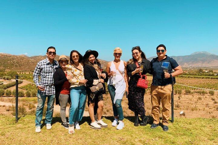 In gruppo è meglio! Tour privato a ValleDeGuadalupe (6-19 persone)