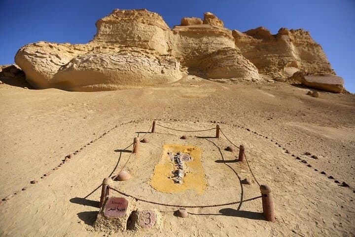 Private Tour Whales Valley And Wadi El Rayan Waterfalls In El Fayoum From Cairo
