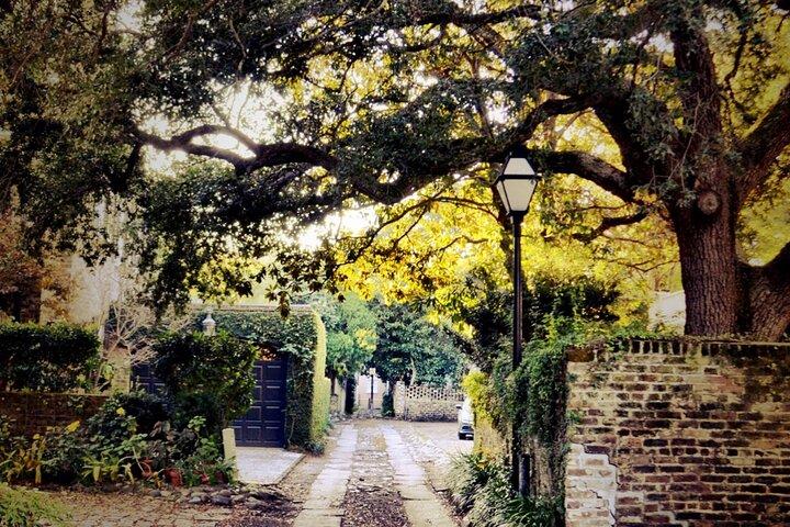 Visite à pied historique en petit groupe de Charleston