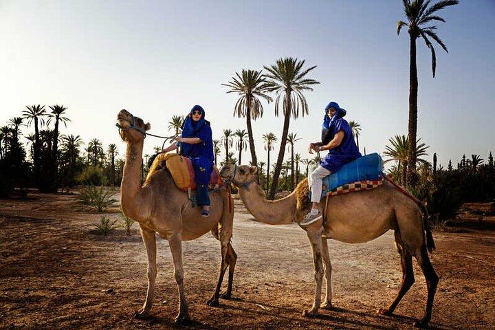 Camel Ride in the Palm Grove of Marrakech