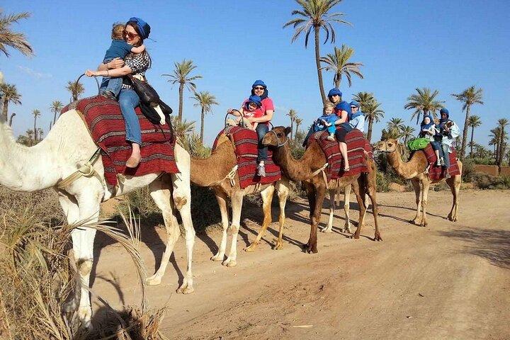 Camel Ride in the Palm Grove of Marrakech