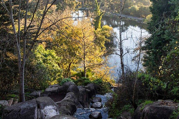 The Secrets of Golden Gate Park: A San Francisco Chronicle Self-Guided Tour
