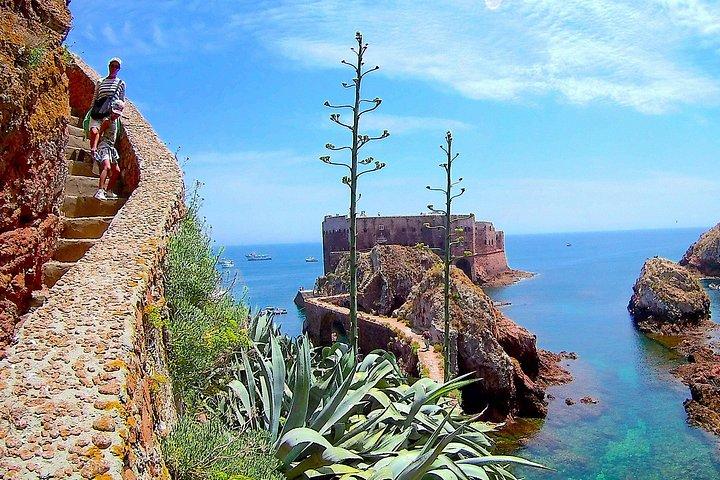 Berlengas Island Catamaran Tour - Rundtur