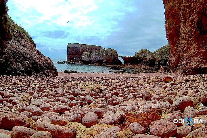 Berlengas Island Catamaran Tour - Rundtur