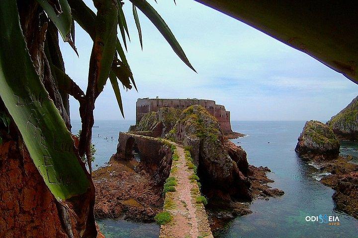 Berlengas Island Catamaran Tour - Rundtur