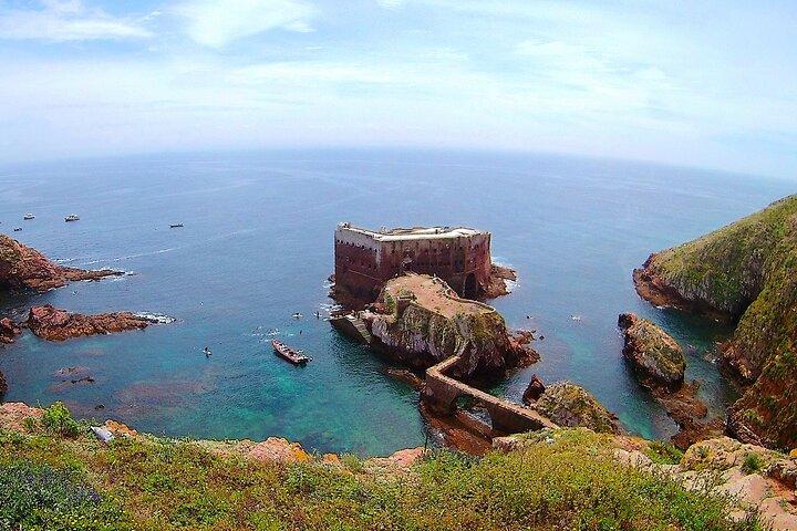 Tour en catamaran des îles Berlengas - Aller-retour