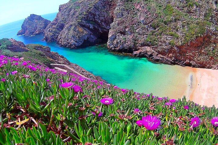Tour en catamaran des îles Berlengas - Aller-retour