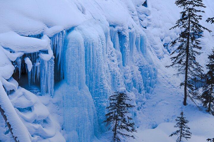 Banff, Lake Louise e Johnston Canyon - Tour invernale del paese delle meraviglie