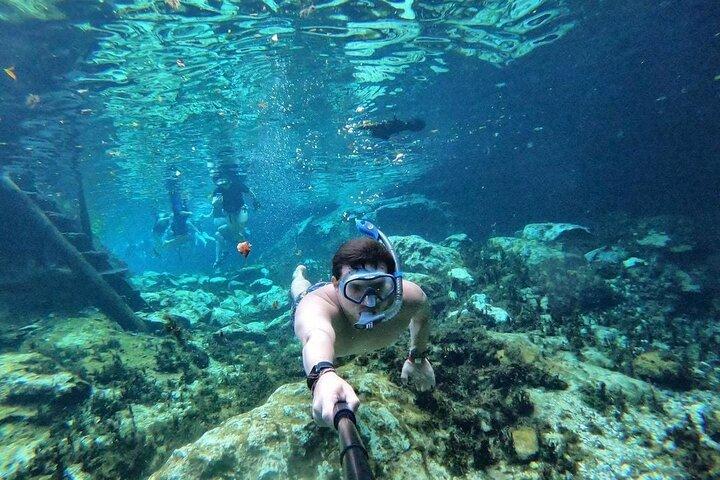 Tulum Ruins & Casa Tortuga Eco Tour! 4 Cenotes de Tulum City
