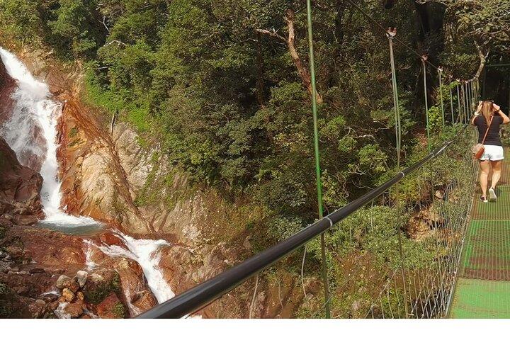 5 in 1ナマケモノ、熱帯雨林、滝、吊り橋、火山活動ツアー。