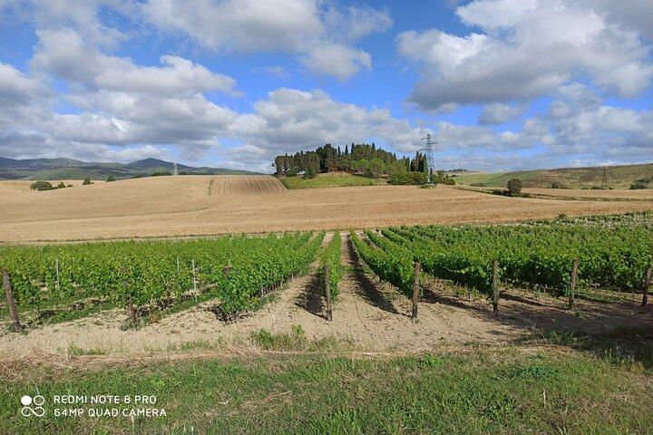 Ontdek Chianti : Tour met lunch en proeverijen vanuit Pisa & Livorno