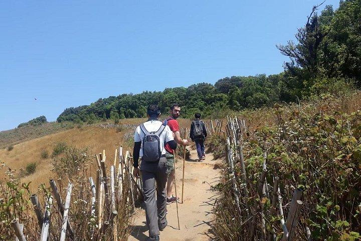 チェンマイ発のKew Mae Pan Trailのインタノン小グループ