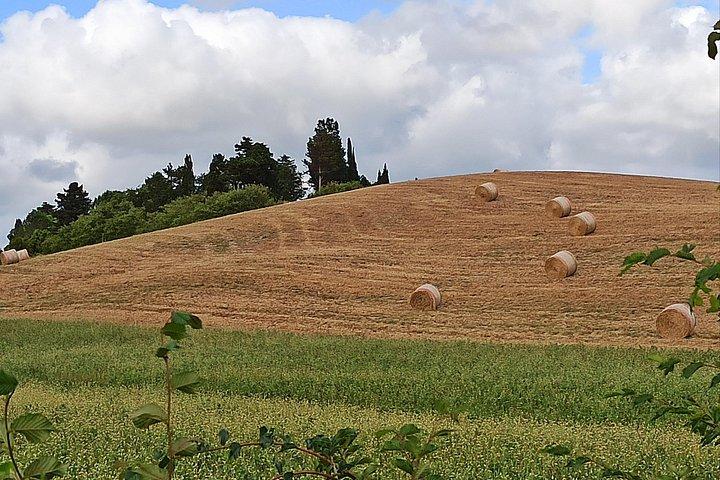 S GimignanoとMonteriggioniに立ち寄る、フィレンツェからシエナへのプライベートトランスファー