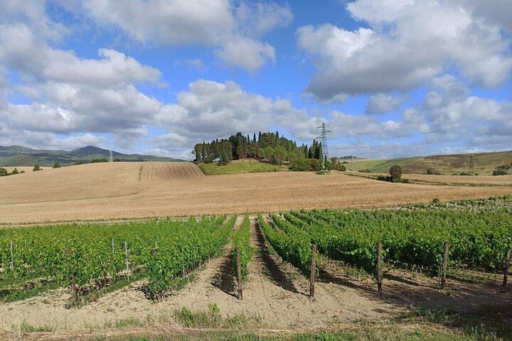 TRANSFER PRIVADO de Florença a Siena com parada em S Gimignano e Monteriggioni