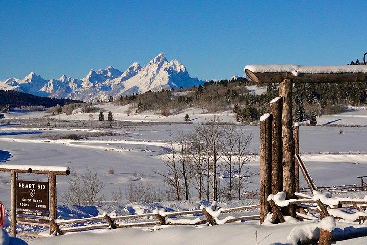 Jackson Hole Full-Day Dog Sledding and Snowmobiling Combo Trip