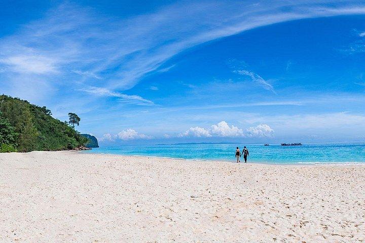 Circuit d'une journée aux îles Phi Phi en bateau rapide depuis Krabi