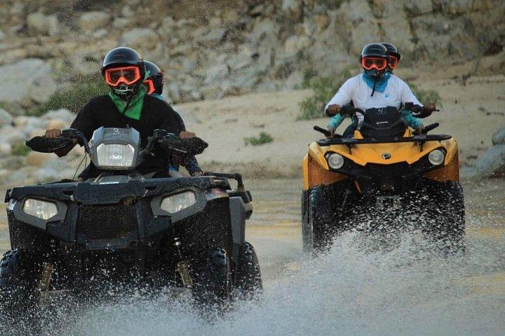 Cabo Dual Adventure: ATV Thrill + Camel Ride Bliss