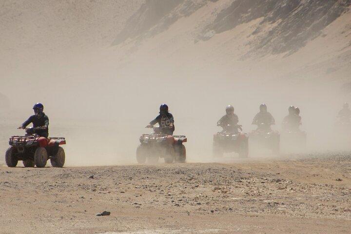 ラクダに乗って朝または午後に ATV クワッドで 3 時間のサファリ - マルサ アラム