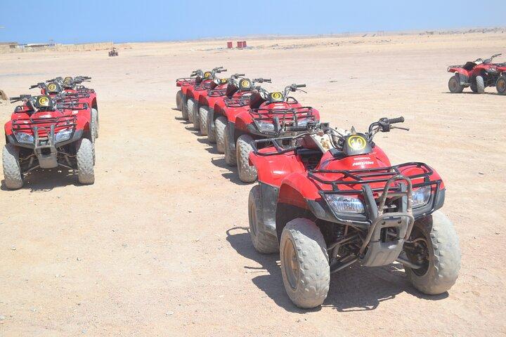 ラクダに乗って朝または午後に ATV クワッドで 3 時間のサファリ - マルサ アラム