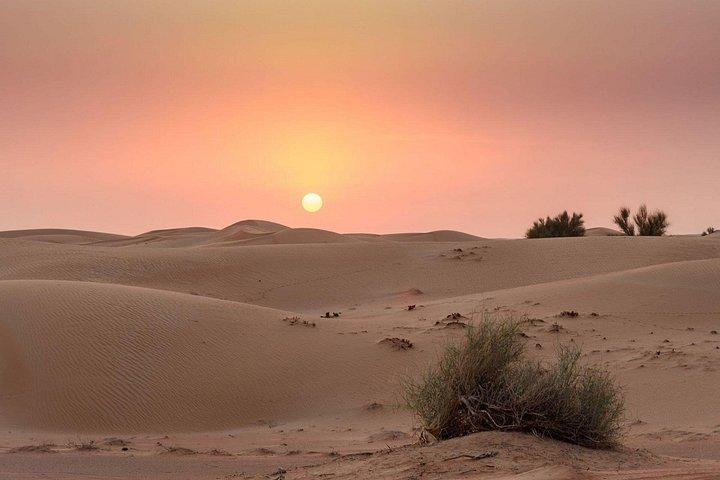 Dubai evening desert safari and camp with dinner