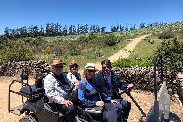 Uncover a Secluded Vineyard for Lunch