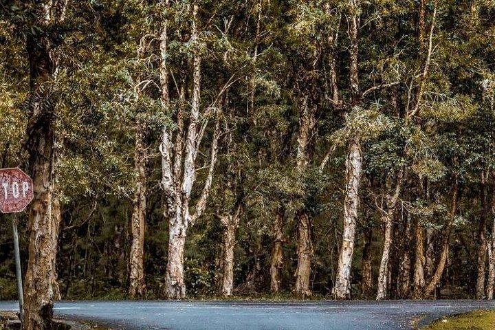 Chamarel Seven Coloured Earth & Mauritius Discovery Private Tour