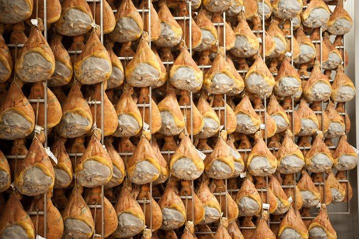 パルメザンチーズとハムの工場見学と試食