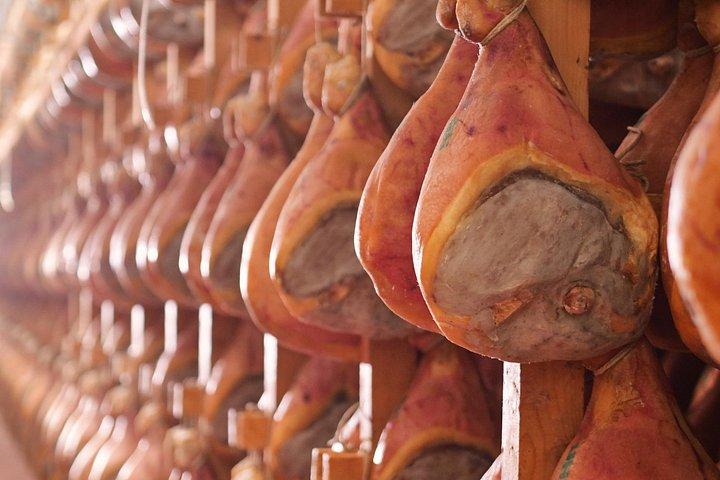 パルメザンチーズとハムの工場見学と試食