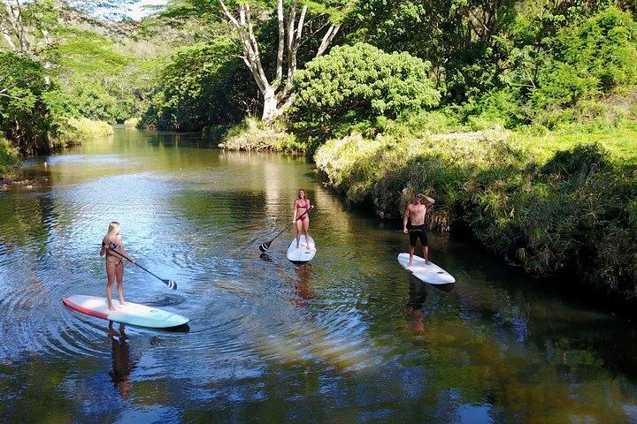 Stand Up Paddle Leje- Wailua River til Secret Falls