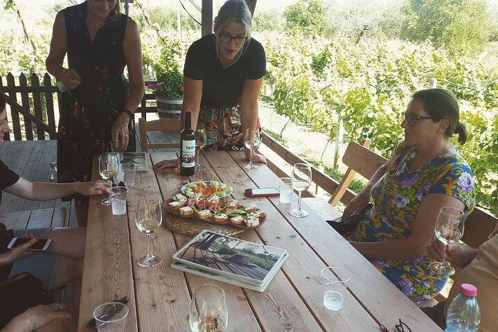 Vineyard Sips: Excursão de vinícola familiar e degustação gourmet em Corfu