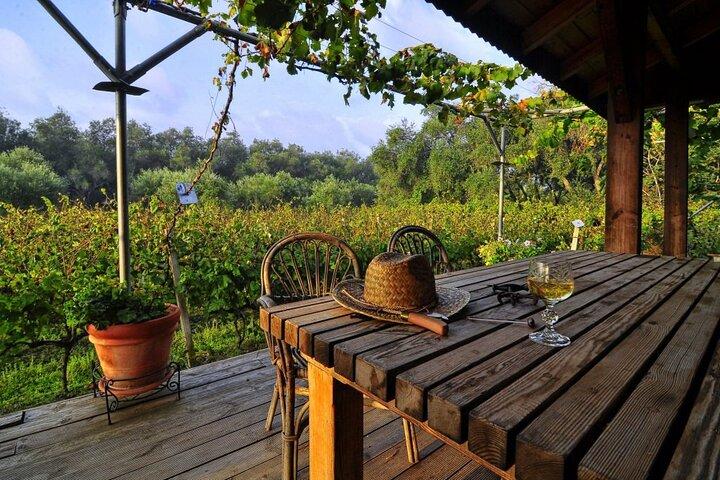 Vineyard Sips: Excursão de vinícola familiar e degustação gourmet em Corfu