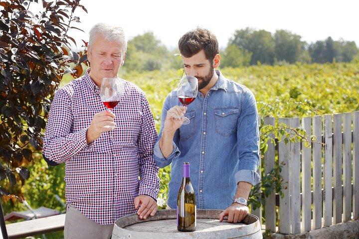 Vineyard Sips: Excursão de vinícola familiar e degustação gourmet em Corfu