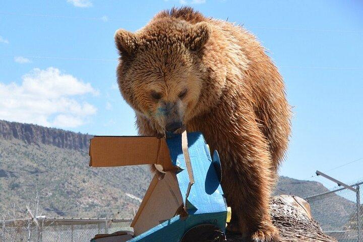 野生動物自然公園シーニックルート66クロジエキャニオン