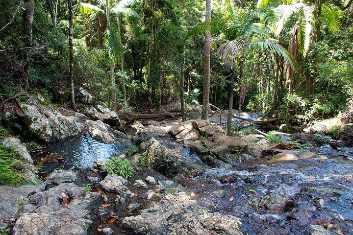 Tour por la selva tropical de Maiala