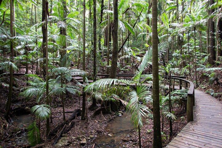 Tour por la selva tropical de Maiala