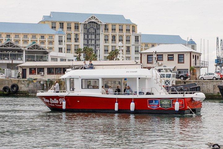 Crucero en barco por el puerto de 30 minutos Ciudad del Cabo