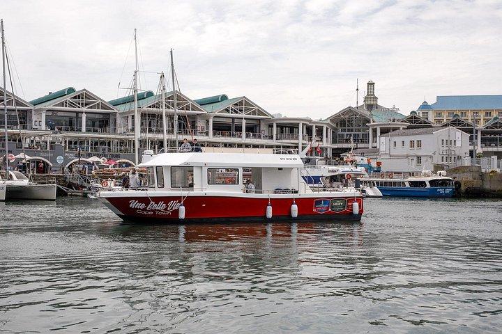 Crucero en barco por el puerto de 30 minutos Ciudad del Cabo