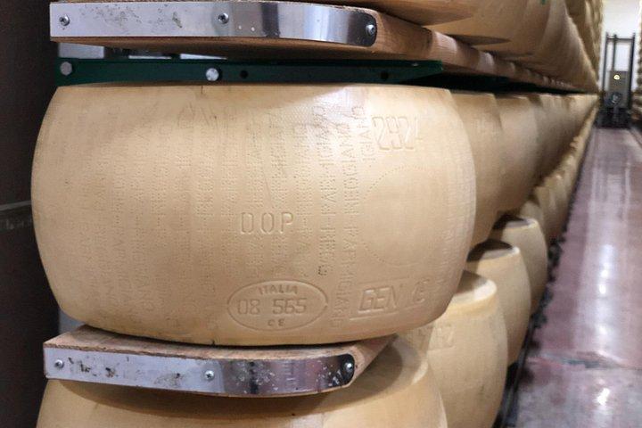 モデナテイスティング：プロシュット、パルミジャーノ、バルサミコ、ワイン、輸送