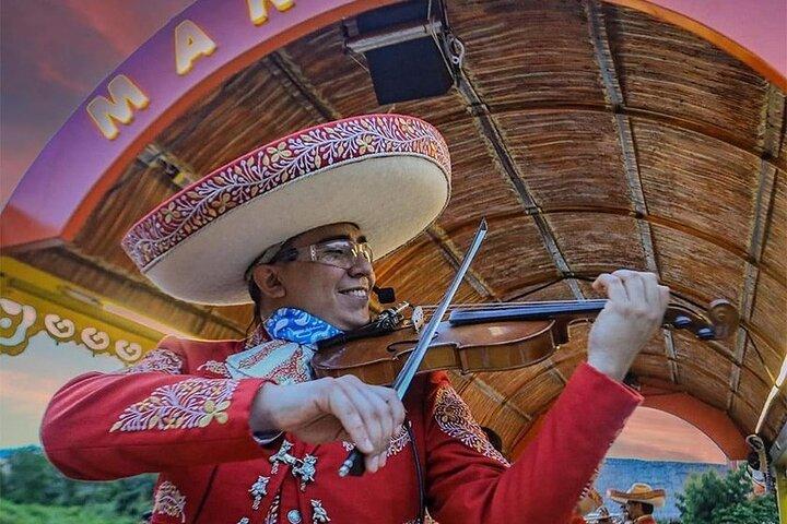 交通費込みのカンクン発ツアー ソキシミルコ