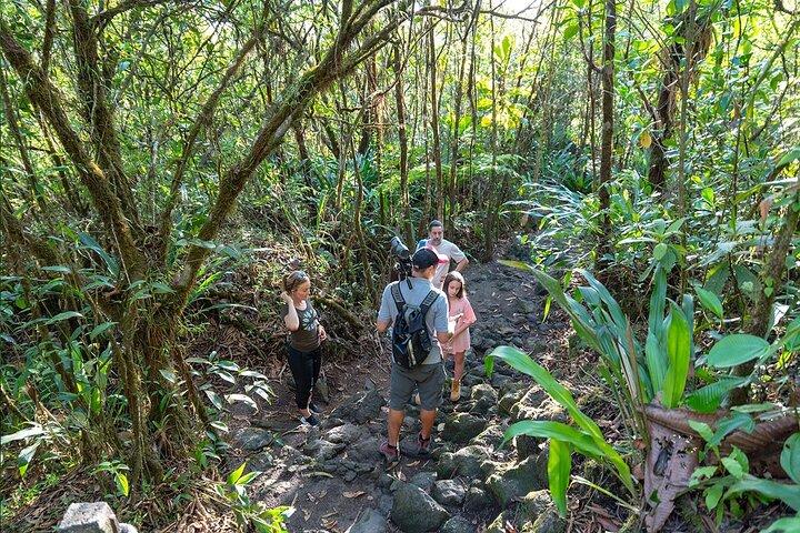 3-i-1 Arenal Volcano River Safari Float, La Fortuna Waterfall och Volcano Hike