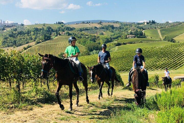 Kleingruppen-Reitweintour, San Gimignano, Mittagessen