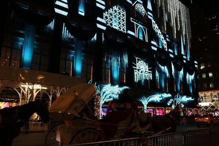 クリスマス ライト プライベート キャリッジ ライド ニューヨーク市